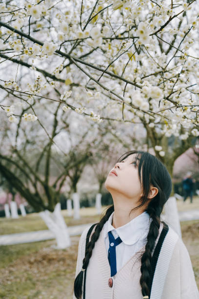 Beautiful asian girls under cherry trees