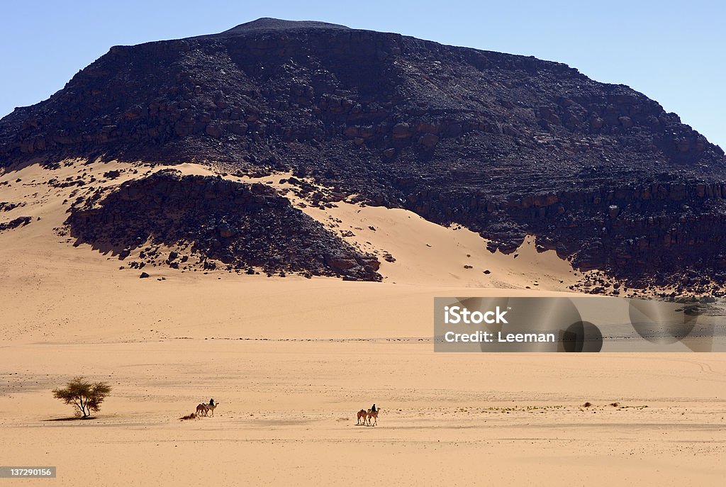 Nomadi su cammelli nel deserto - Foto stock royalty-free di Tuareg