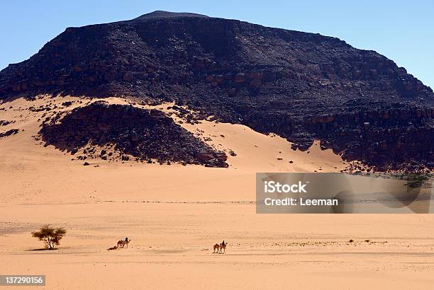 Nomads Nos Seus Camelos No Deserto - Fotografias de stock e mais imagens de Tuaregue - Tuaregue, Paisagem Árida, Ao Ar Livre
