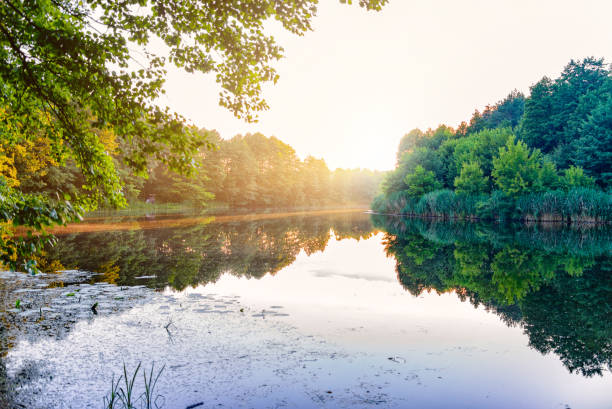 istock Sunset on the lake in the woods. 1372903166