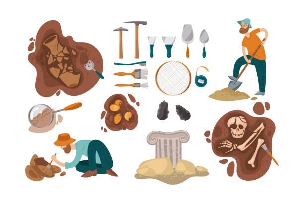 ilustrações de stock, clip art, desenhos animados e ícones de search and study of ancient fossils by archaeologists set - archaeology