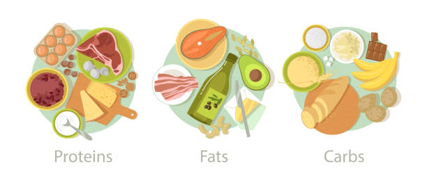 탄수화물, 단백질 및 지방 식품 세트 - carbohydrate stock illustrations