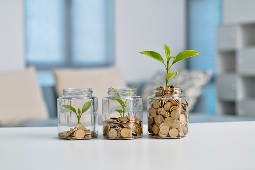 Green plant growing in glass jar with coins.