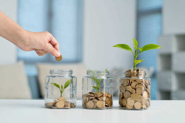 Human hand putting coin in the jar with plant stock photo