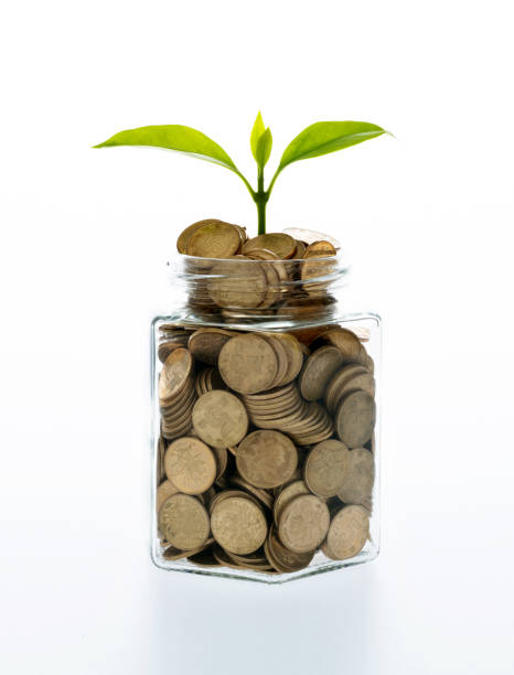 istock Green plant growing from coin jar 1372906523