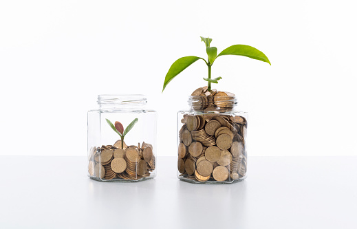 Green plant growing in glass jar with coins.