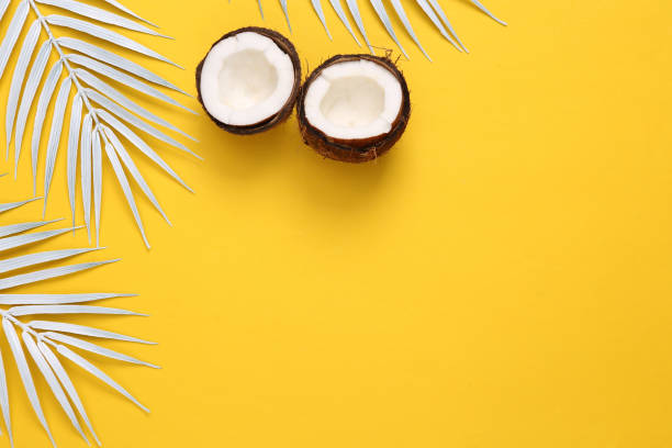 istock White palm leaves with coconut on yellow background. Creative tropical layout. Copy space 1372907579