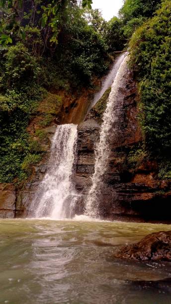 istock Beautiful Waterfall in Green Forest 1372912229