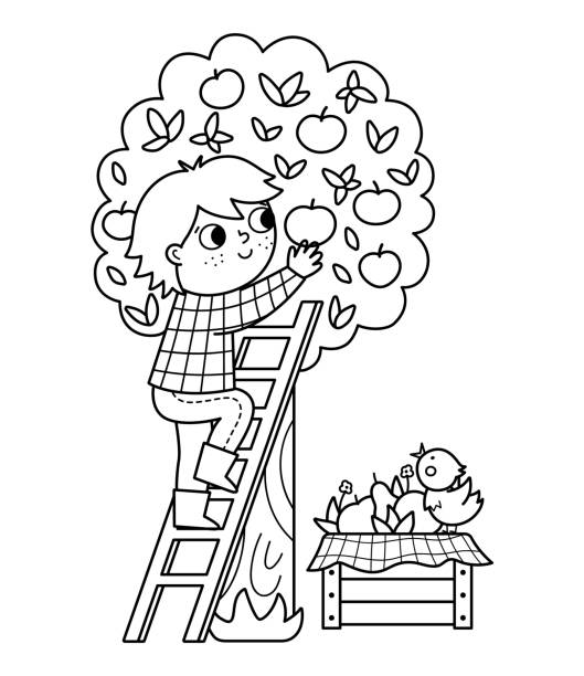 illustrazioni stock, clip art, cartoni animati e icone di tendenza di agricoltore vettoriale in bianco e nero che raccoglie mele dall'albero. bambino di contorno carino che fa l'icona del lavoro agricolo. bambino sulla scala che raccoglie le mele. illustrazione divertente della fattoria o pagina da colorare - poultry farm chicken baby chicken