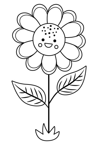 illustrations, cliparts, dessins animés et icônes de icône de ligne de tournesol vectrice noire et blanche. esquisse de la fleur de soleil ou de la page à colorier. clipart floral. jolie floraison estivale isolée sur fond blanc. photo de plante de ferme - flower blooming spring temperate flower