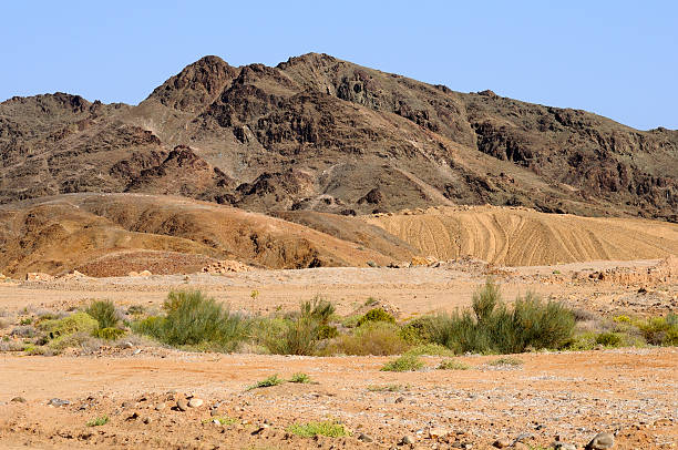 paisaje de montaña - richtersveld national park fotografías e imágenes de stock