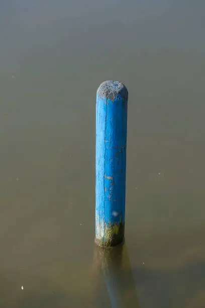 Blue wooden stake in a body of water, Germany, Europe