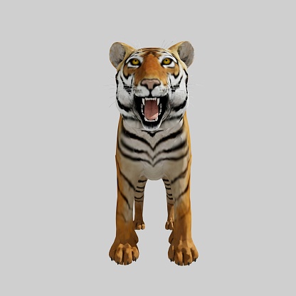 3D rendering of a big cat tiger isolated on white background
