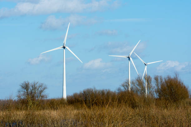 istock Wind turbines at Sternweg 1372919570