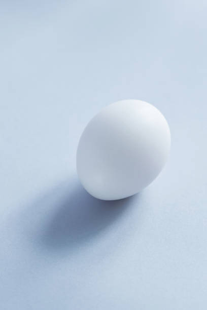 istock White egg on a blue background. Raw chicken egg close up. Minimal Easter concept 1372932996