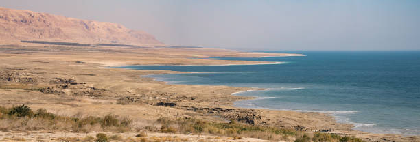 высыхание мертвого моря - dry sea riverbank mud стоковые фото и изображения