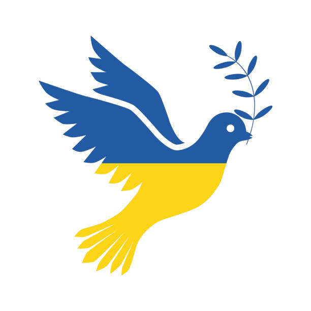 флаг украины в виде голубя мира. концепция мира в украине. векторная иллюстрация, изолированная на белом фоне для дизайна и веба. - ukraine white background yellow blue stock illustrations