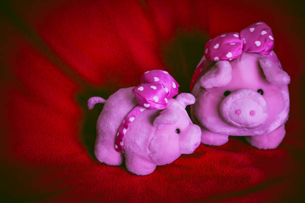 Piggy bank with Santa hat