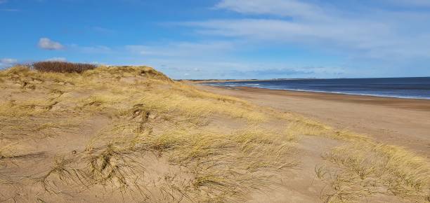 istock Low tide Druridge Bay Northumberland 1372939675