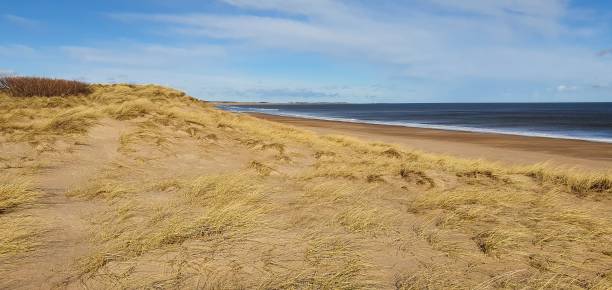 istock Low tide Druridge Bay Northumberland 1372939681
