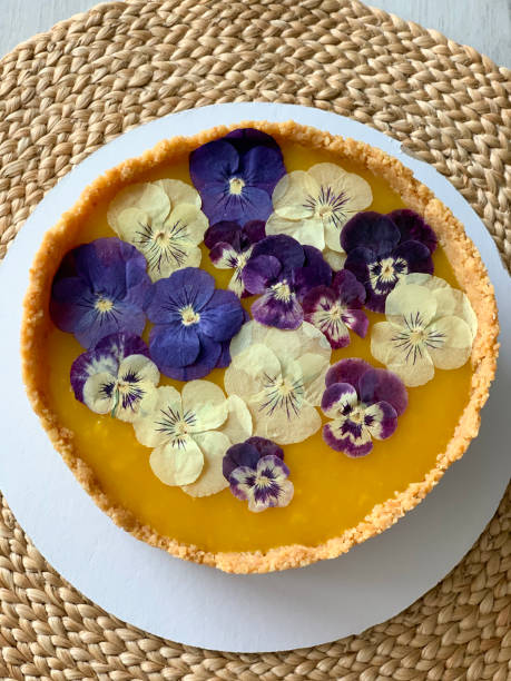 Classic cheese cake New York with mango jelly and violets stock photo