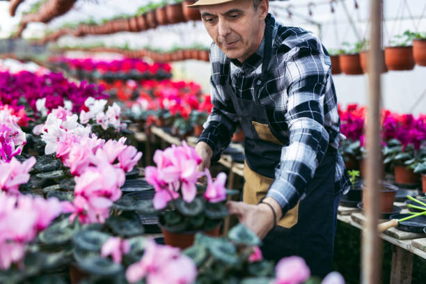 istock Florist examining plants in greenhouse 1372947144