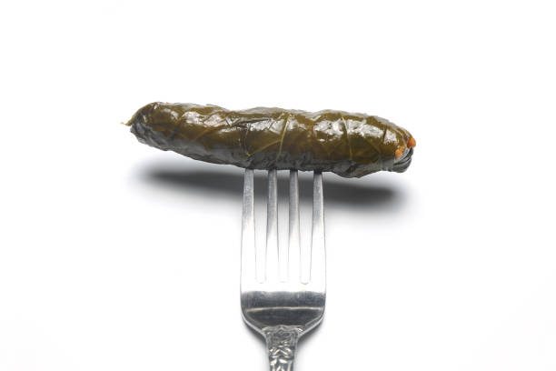 Lebanese dolma sarma on plate. Lebanon turkish greek middle eastern cuisine. (Turkish name; Yaprak sarma), isolated