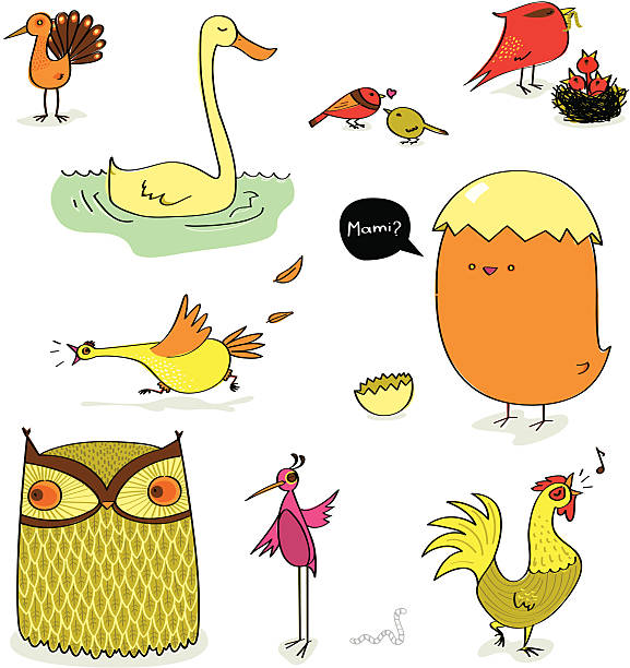 Cartoonish birds Hand drawn/cartoonish illustration of different birds. scared chicken cartoon stock illustrations