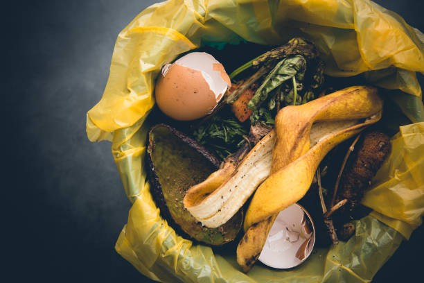 istock Organic food wastes 1372952881