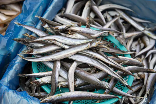 Photo of Freshly caught Korean sand lance fish in market.