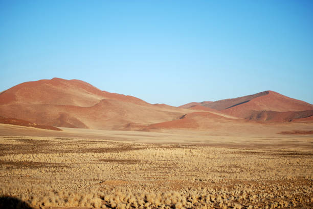 istock Sossusvlei Sand Dunes at Dawn 1372960096