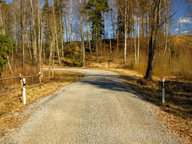 istock landscape with a simple country road 1372961196