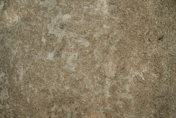 istock The concrete wall background with slight moss looks old 1372962125