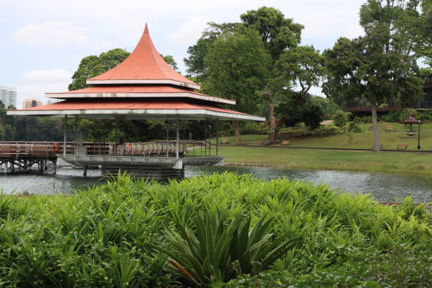Shot on a Canon M6 Mark II at MacRitchie Reservoir, Saved on a SanDisk 32 GB SD Card.