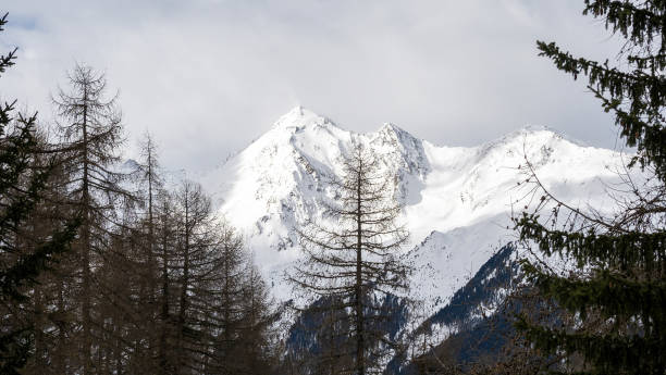 istock View of the mountain peaks from the forest 1372965831