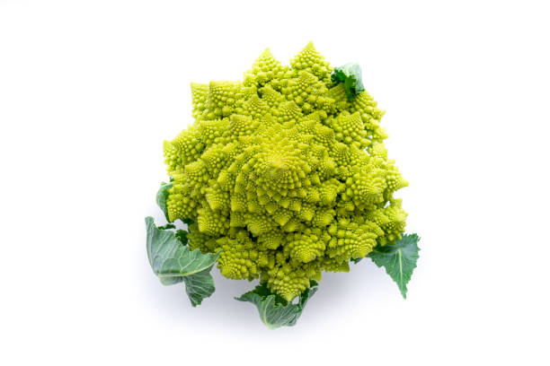 romanesco cauliflower crucifer raw vegetable closeup isolated on white - romanesque imagens e fotografias de stock