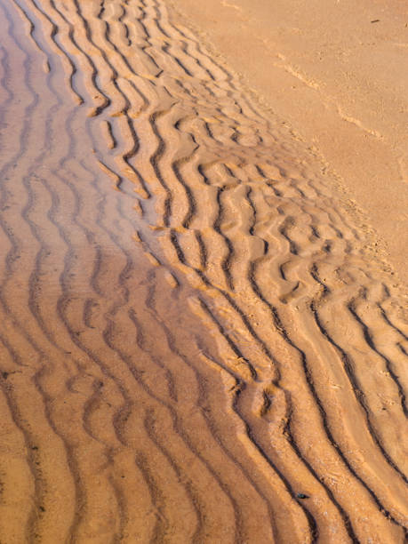 istock Background from fine and wet sand, sand textures 1372968729