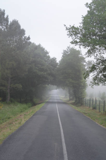 istock Road through the fog 1372969067