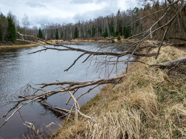 istock view of the river in early spring day 1372971264