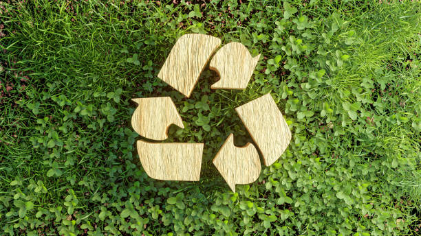 istock Eco concept : Wood texture Recycle icon on green grass leaves. 3d rendering 1372971624