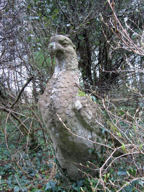 estátua antiga de águia de pedra empoleirada em hera - artificial wing wing eagle bird - fotografias e filmes do acervo