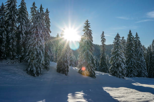 Winter in the Chiemgau Alps, Ruhpolding, Bavaria, Germany.