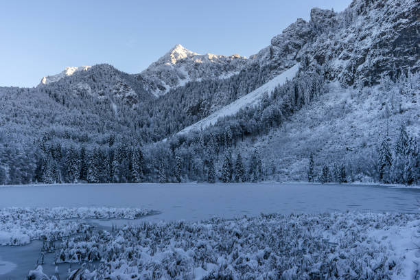 istock Winter at Lake Frillensee 1372974134