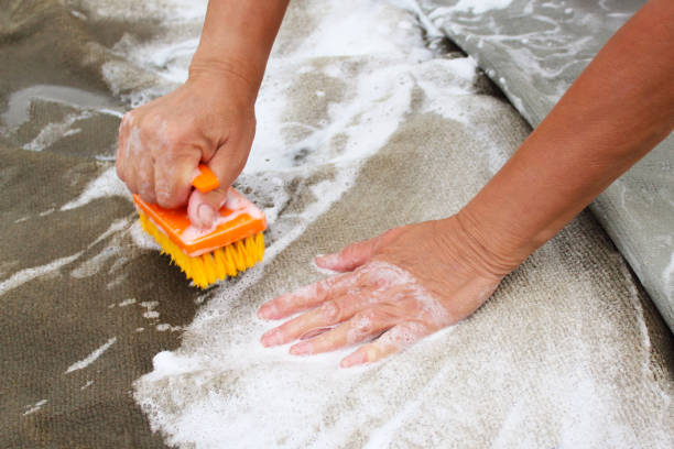 The process of cleaning the carpet with a vacuum cleaner with a water filter. A woman collects the remains of cleaning foam from the dirty surface of the carpet.