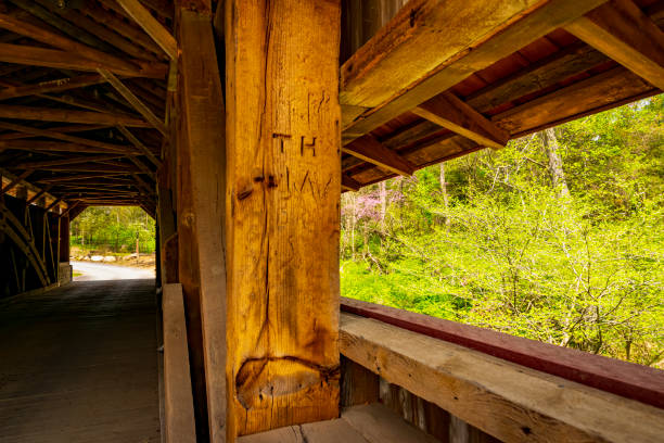 istock View Out of a Covered Bridge Looking at a Forest in Spring With Cravings 1372979440