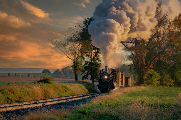 istock View of an Antique Freight Steam Train Blowing Smoke Approaching Thru Trees 1372980184