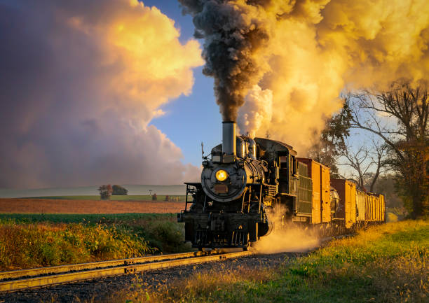 istock View of an Antique Freight Steam Train Blowing Smoke Approaching Thru Trees 1372980186