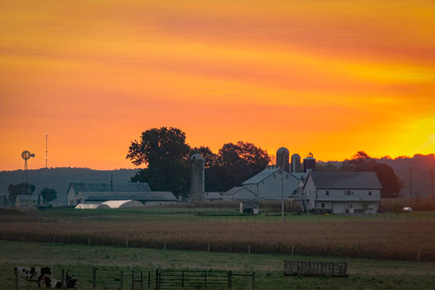 istock View of a Sunrise Over Farmlands 1372980205