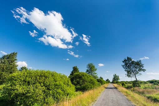 A road leading through wide moor landscape with some trees in the High Fens, Eifel, Belgium with blue sky.