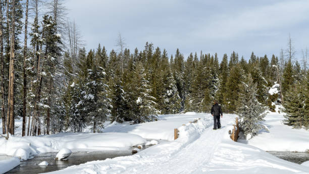 istock Man on snowshoes cross a river bridge on packed trail 1372980631